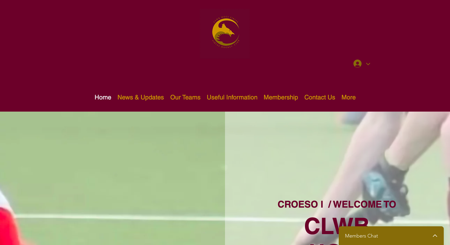 Eirias hockey club